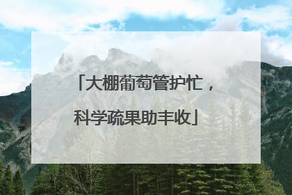 大棚葡萄管护忙，科学疏果助丰收