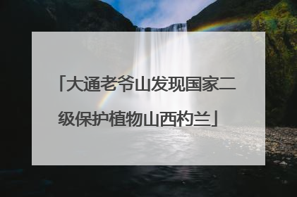大通老爷山发现国家二级保护植物山西杓兰
