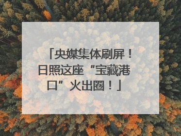 央媒集体刷屏！日照这座“宝藏港口”火出圈！
