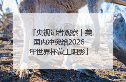 央视记者观察丨美国内冲突给2026年世界杯蒙上阴影