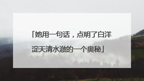 她用一句话，点明了白洋淀天清水澈的一个奥秘
