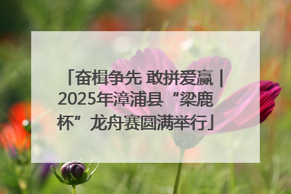 奋楫争先 敢拼爱赢｜2025年漳浦县“梁鹿杯”龙舟赛圆满举行