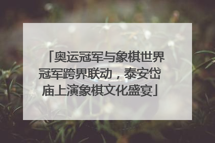 奥运冠军与象棋世界冠军跨界联动，泰安岱庙上演象棋文化盛宴