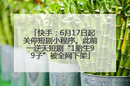 快手：6月17日起关停短剧小程序。此前一逆天短剧“1胎生99子”被全网下架