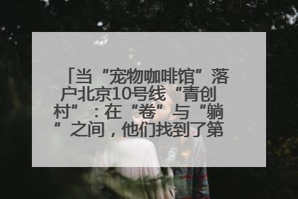 当“宠物咖啡馆”落户北京10号线“青创村”：在“卷”与“躺”之间，他们找到了第三种生活公式