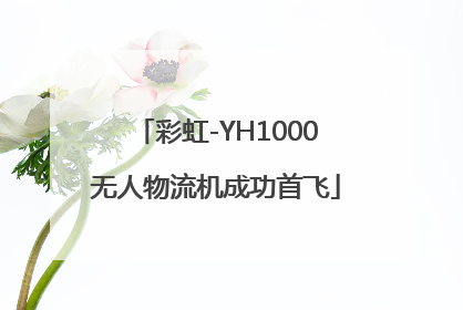 彩虹-YH1000无人物流机成功首飞