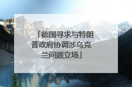 德国寻求与特朗普政府协调涉乌克兰问题立场