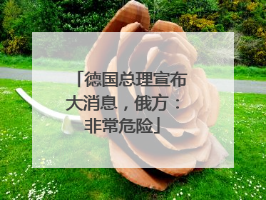 德国总理宣布大消息，俄方：非常危险
