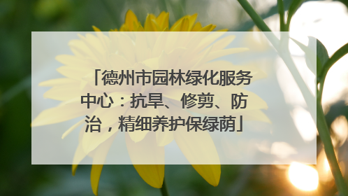 德州市园林绿化服务中心：抗旱、修剪、防治，精细养护保绿荫