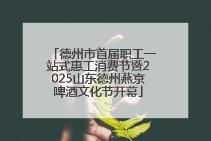 德州市首届职工一站式惠工消费节暨2025山东德州燕京啤酒文化节开幕