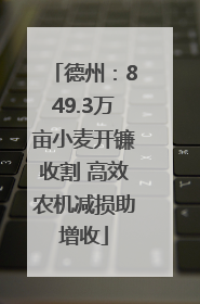 德州：849.3万亩小麦开镰收割 高效农机减损助增收