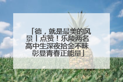 德，就是最美的风景丨点赞！乐陵两名高中生深夜拾金不昧 彰显青春正能量