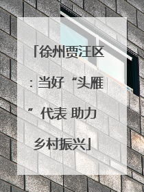 徐州贾汪区：当好“头雁”代表 助力乡村振兴