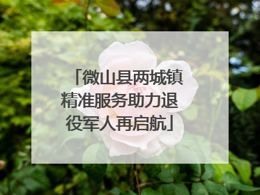 微山县两城镇精准服务助力退役军人再启航