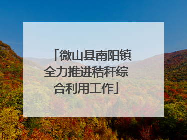 微山县南阳镇全力推进秸秆综合利用工作