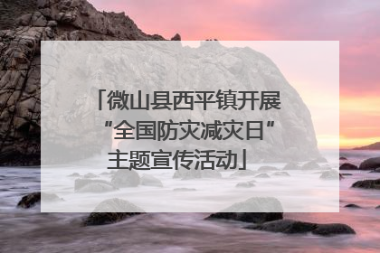 微山县西平镇开展“全国防灾减灾日”主题宣传活动