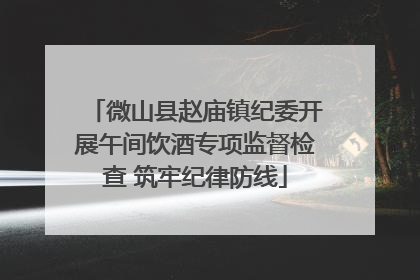 微山县赵庙镇纪委开展午间饮酒专项监督检查 筑牢纪律防线