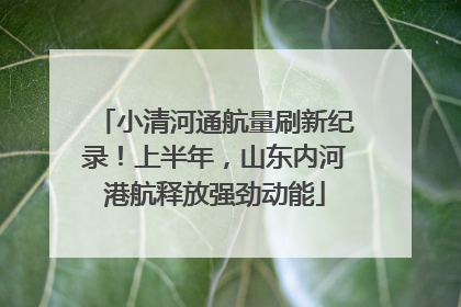 小清河通航量刷新纪录！上半年，山东内河港航释放强劲动能