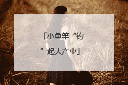 小鱼竿“钓”起大产业