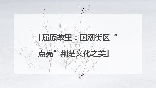 屈原故里：国潮街区“点亮”荆楚文化之美