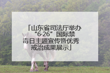 山东省司法厅举办“6·26”国际禁毒日主题宣传暨优秀戒治成果展示
