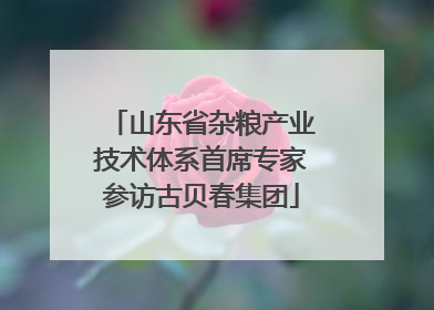 山东省杂粮产业技术体系首席专家参访古贝春集团