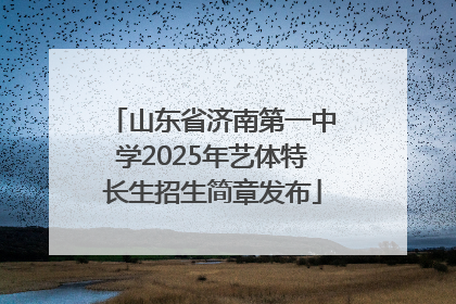 山东省济南第一中学2025年艺体特长生招生简章发布