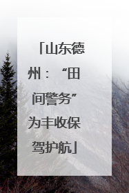 山东德州：“田间警务”为丰收保驾护航