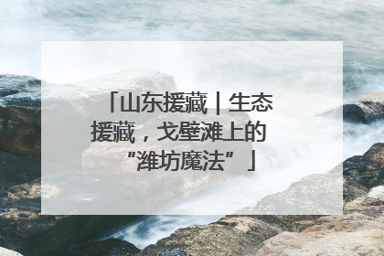 山东援藏｜生态援藏，戈壁滩上的“潍坊魔法”