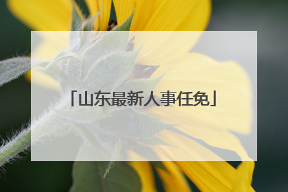 山东最新人事任免