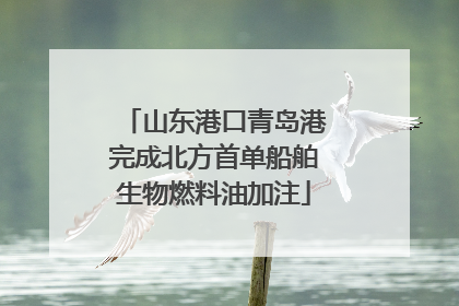 山东港口青岛港完成北方首单船舶生物燃料油加注