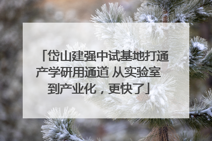 岱山建强中试基地打通产学研用通道 从实验室到产业化，更快了