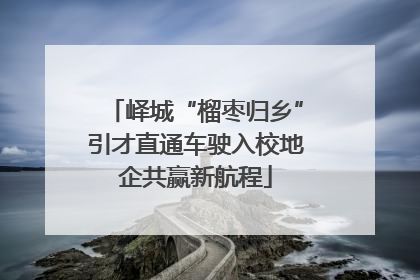 峄城“榴枣归乡”引才直通车驶入校地企共赢新航程