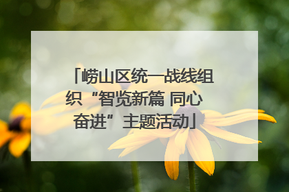 崂山区统一战线组织“智览新篇 同心奋进”主题活动