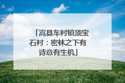 嵩县车村镇顶宝石村：密林之下有诗意有生机