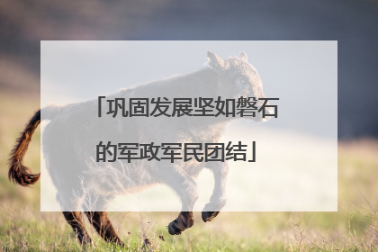 巩固发展坚如磐石的军政军民团结