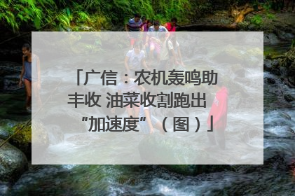 广信：农机轰鸣助丰收 油菜收割跑出“加速度”（图）