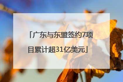 广东与东盟签约7项目累计超31亿美元