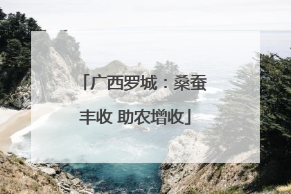 广西罗城：桑蚕丰收 助农增收