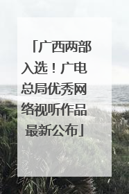 广西两部入选！广电总局优秀网络视听作品最新公布