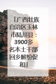 广西壮族自治区玉林市陆川县：3900多名本土干部回乡解纷促和