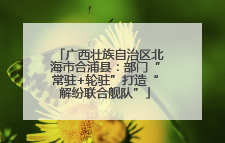 广西壮族自治区北海市合浦县：部门“常驻+轮驻”打造“解纷联合舰队”