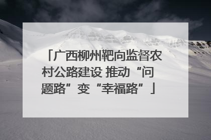 广西柳州靶向监督农村公路建设 推动“问题路”变“幸福路”