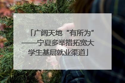 广阔天地“有所为”——宁夏多举措拓宽大学生基层就业渠道