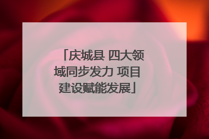 庆城县 四大领域同步发力 项目建设赋能发展