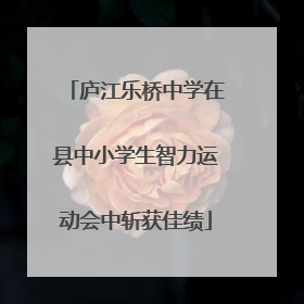 庐江乐桥中学在县中小学生智力运动会中斩获佳绩