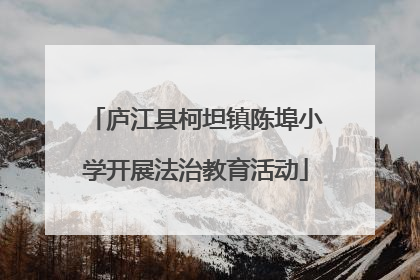 庐江县柯坦镇陈埠小学开展法治教育活动
