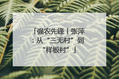 强农先锋丨张萍：从“三无村”到“样板村”