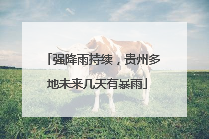 强降雨持续，贵州多地未来几天有暴雨