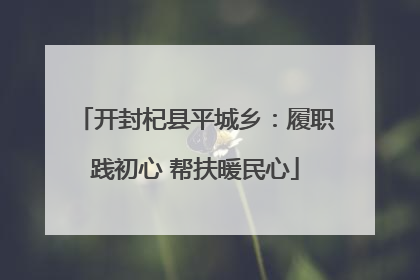 开封杞县平城乡：履职践初心 帮扶暖民心